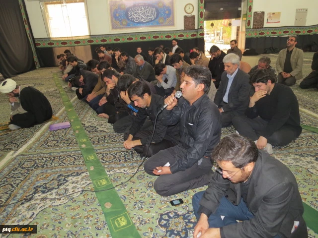 عزاداری ماه صفر