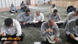 میلاد با سعادت امام حسن مجتبی (ع)