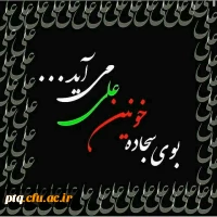 شهادت حضرت علی (ع)