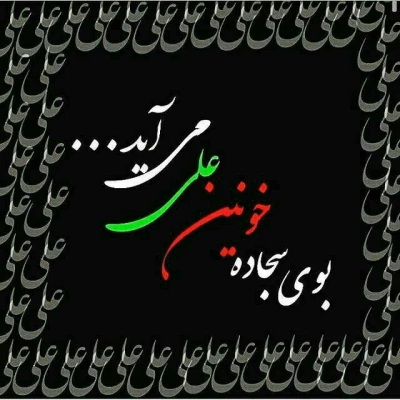 شهادت حضرت علی (ع)