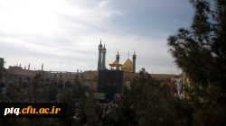 راه پیمایی 9دی