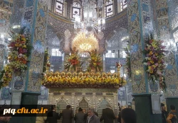 ولادت حضرت زینب(س)