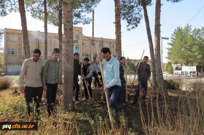 گسترش فضای سبز پردیس درآستانه بهار