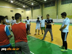 کارگاه فریزبی