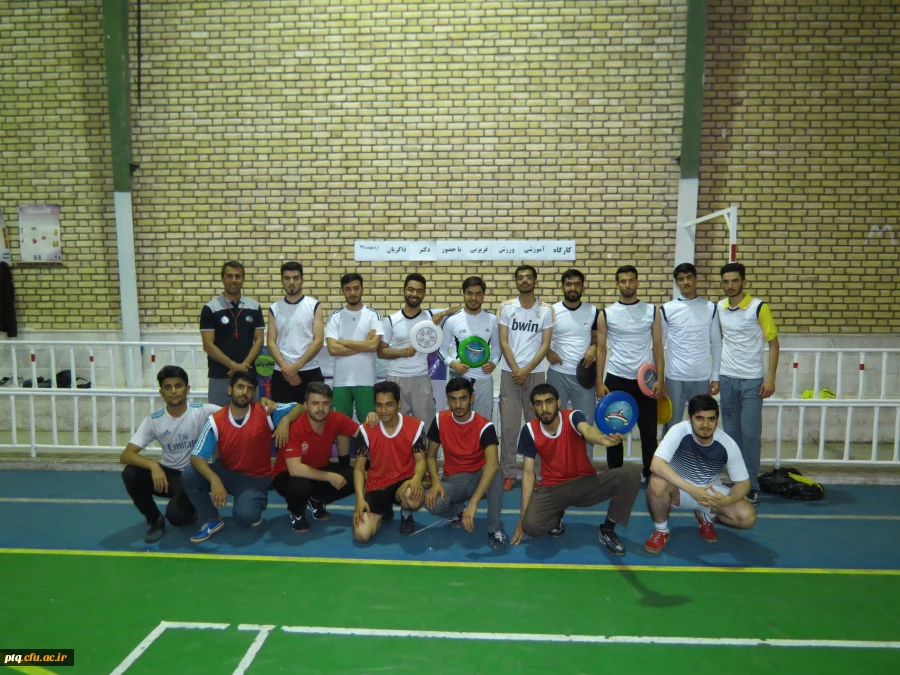 کارگاه فریزبی