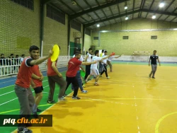 کارگاه فریزبی