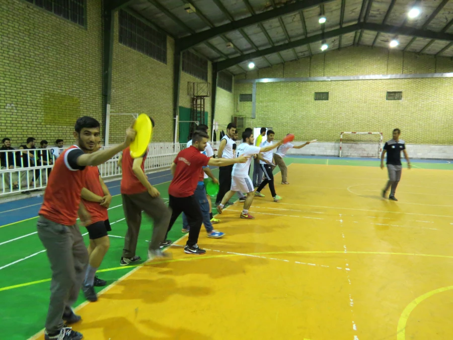 کارگاه فریزبی