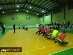 مسابقات ورزشی