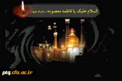 سالروز رحلت حضرت معصومه(س)