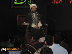 سالروز رحلت حضرت معصومه(س)