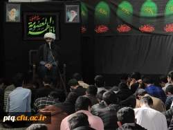 سالروز رحلت حضرت معصومه(س)