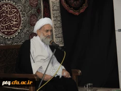 استاد مجیدی