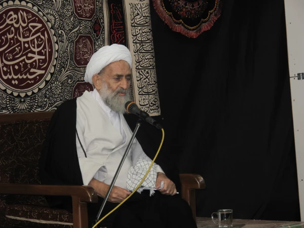 استاد مجیدی