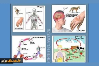 بیماریهای مشترک انسان و دام شماره 1 تب مالت