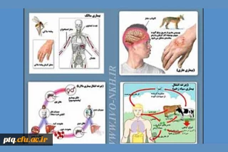 بیماری های مشترک انسان و دام 3 کزاز