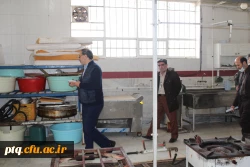 بازدید مدیرکل رفاه و پشتیبانی دانشگاه فرهنگیان 16