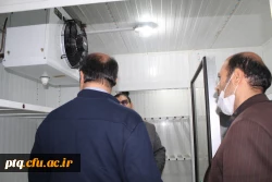 بازدید مدیرکل رفاه و پشتیبانی دانشگاه فرهنگیان 17