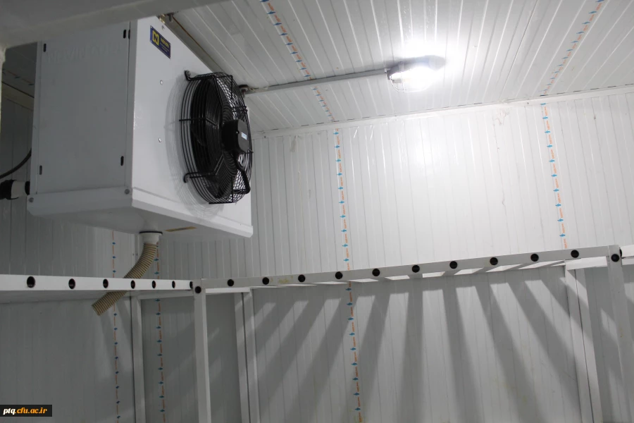 بازدید مدیرکل رفاه و پشتیبانی دانشگاه فرهنگیان 18