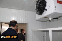 بازدید مدیرکل رفاه و پشتیبانی دانشگاه فرهنگیان 19