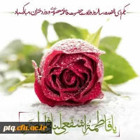 میلاد حضرت فاطمه معصومه سلام الله علیها مبارک باد 6