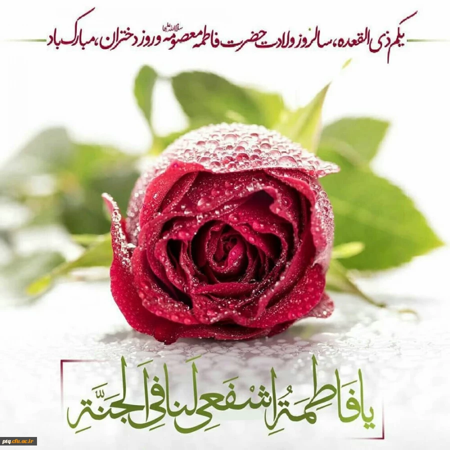 میلاد حضرت فاطمه معصومه سلام الله علیها مبارک باد 6