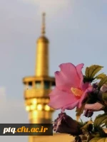 برگزاری اولین آزمون حضوری  پایان ترم دانشجویان پردیس آیت الله طالقانی پس از کرونا درسال 1401 16