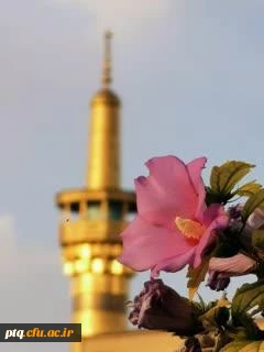 برگزاری اولین آزمون حضوری  پایان ترم دانشجویان پردیس آیت الله طالقانی پس از کرونا درسال 1401 16