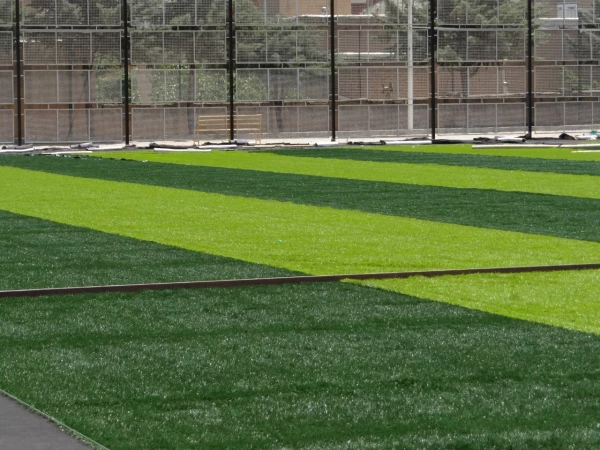 ورزش صبحگاهی اساتید کارکنان و دانشجویان  2