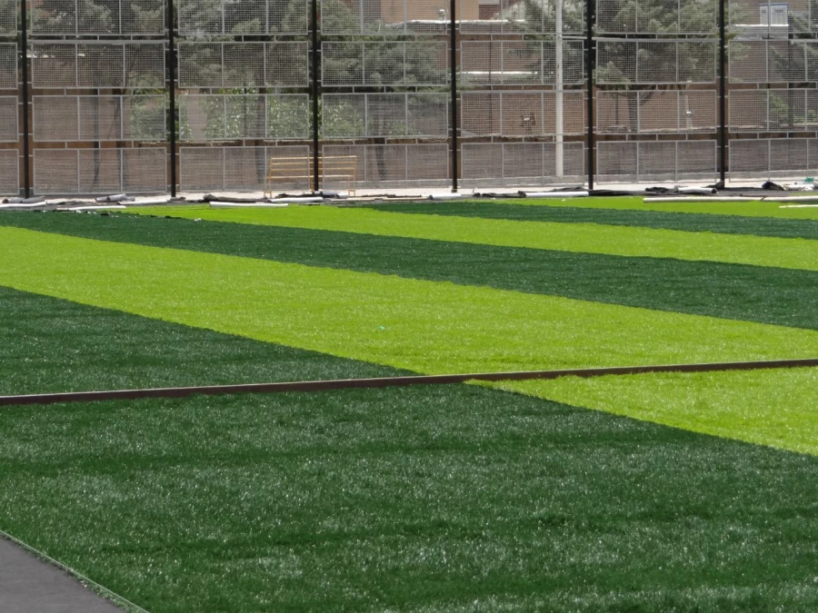 ورزش صبحگاهی اساتید کارکنان و دانشجویان  2