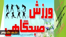 ورزش صبحگاهی اساتید کارکنان و دانشجویان  3